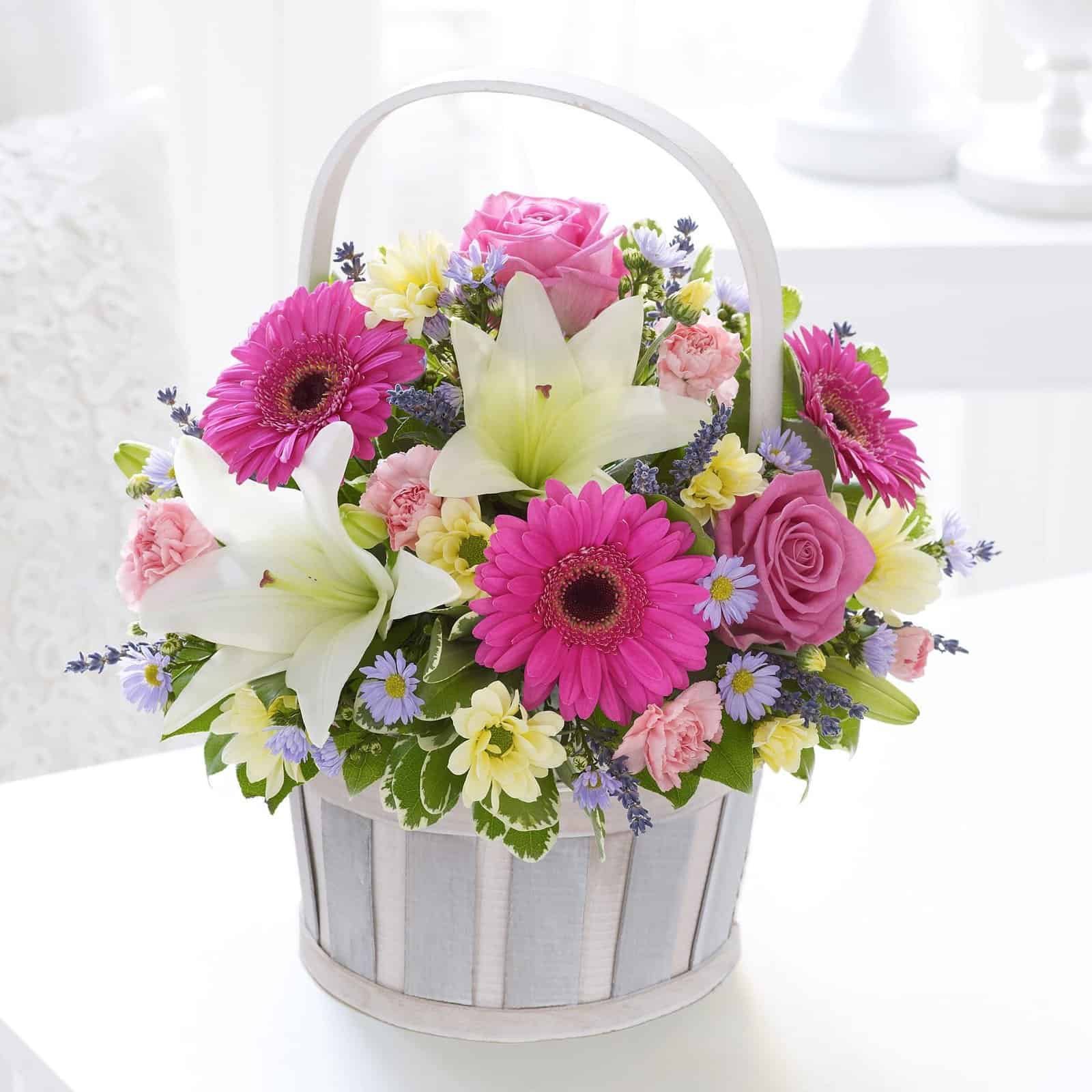 How to grow care for BirthdaysFlower delivery for Guied