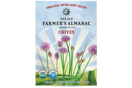 Chive Seeds 1