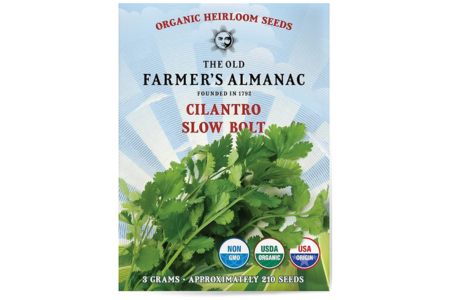 Cilantro Seeds