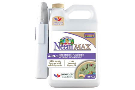 Cold Pressed Neem Oil