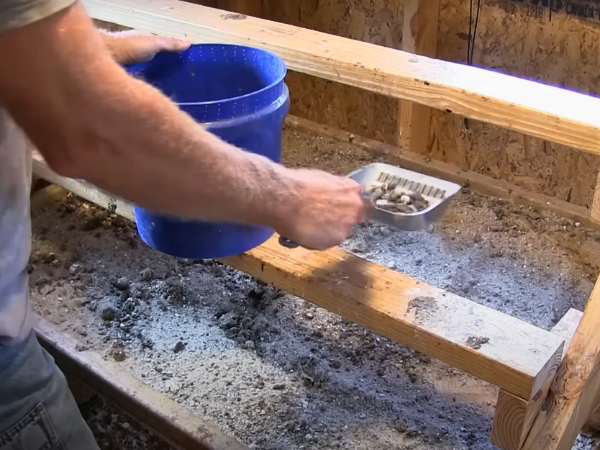 Composting Chicken Poop Before Use - Collect fresh manure from your chickens.