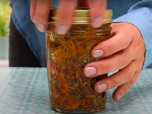 Ideal Containers For Storage Drying Calendula
