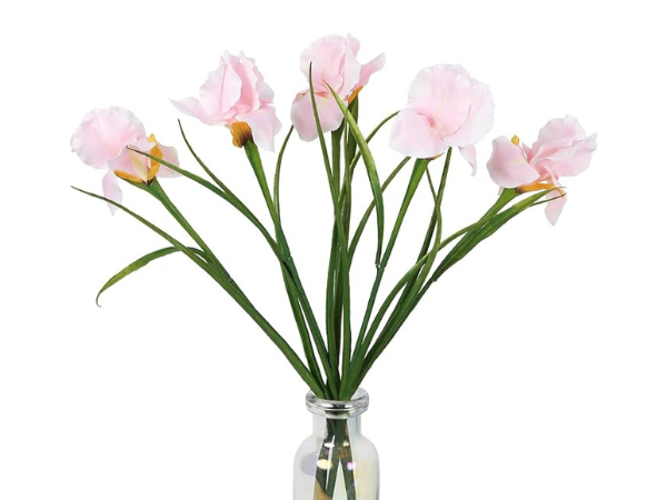 Pink Iris Flowers 5PCS with Stems 23.6