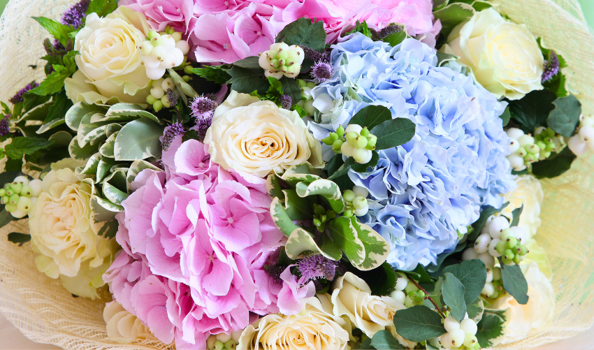 5 Stunning Flowers to Pair with Hydrangeas in Your Arrangements