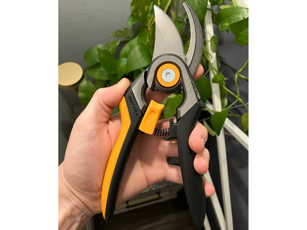 Why Quality Garden Tools Matter photo
