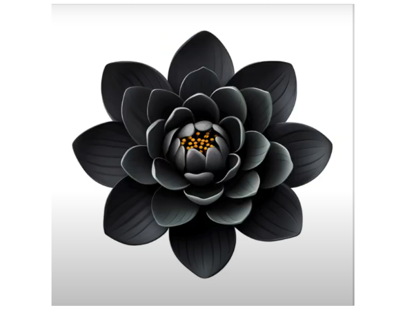 Illustration Black Lotus Flower